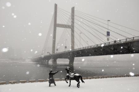       這是12月3日拍攝的吉林省吉林市臨江門大橋雪中景觀。